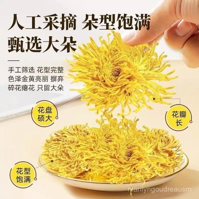 菊花茶金絲皇菊一朵一杯大朵黃菊花獨立便攜菊花草茶葉批髮金絲菊