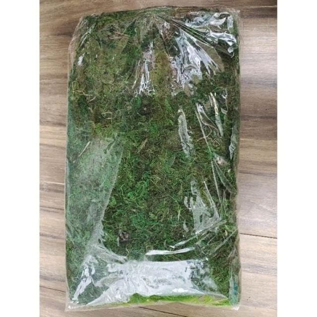 《大欣園藝》_綠水苔300公克(綠水苔 綠水草 蘭花 苔球植物 盆栽鋪面 綠水草 蘭花園藝裝飾草 多肉 組盆裝飾 青苔)