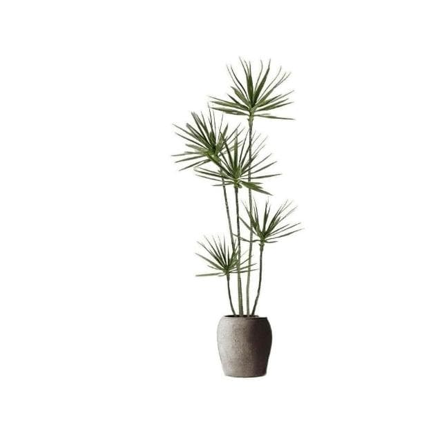 免運 輕奢仿生綠植千年木 客廳裝飾盆栽 仿生植物 仿生假花 龍血樹 綠植造景 客廳裝飾 客廳沙發邊盆景