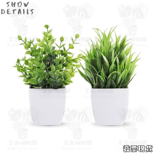  沐晨植物園｜仿真植物 盆栽裝飾 小盆栽假植物 假盆栽 辦公室盆栽 迷你盆栽 仿真盆栽 仿真植物盆栽 居家裝飾 室內盆栽