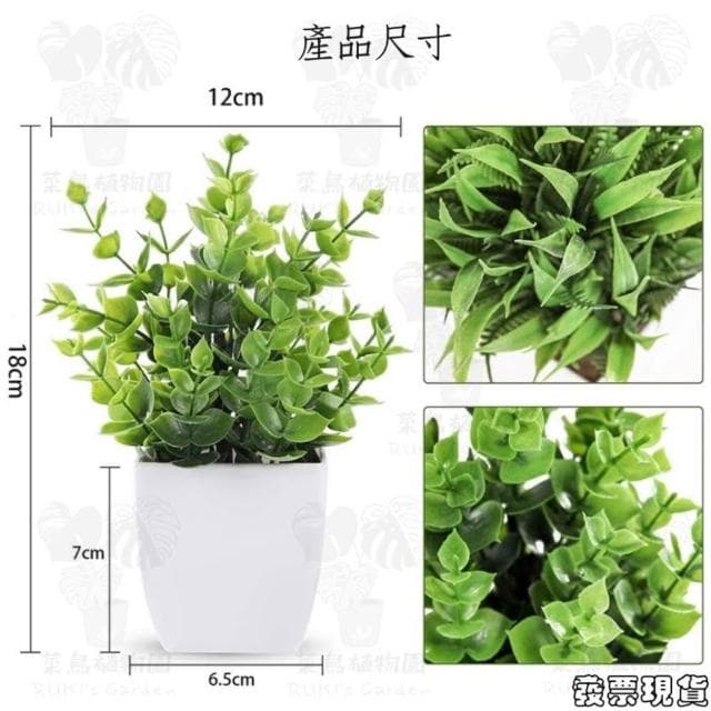  沐晨植物園｜仿真植物 盆栽裝飾 小盆栽假植物 假盆栽 辦公室盆栽 迷你盆栽 仿真盆栽 仿真植物盆栽 居家裝飾 室內盆栽