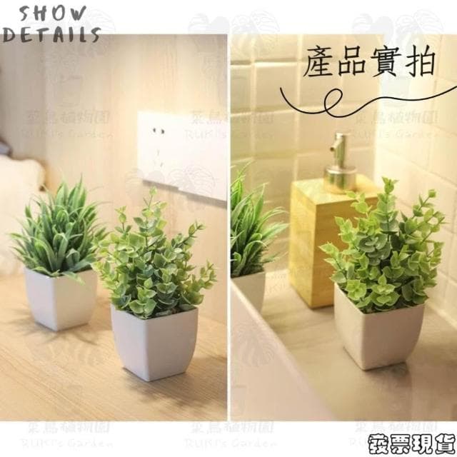  沐晨植物園｜仿真植物 盆栽裝飾 小盆栽假植物 假盆栽 辦公室盆栽 迷你盆栽 仿真盆栽 仿真植物盆栽 居家裝飾 室內盆栽