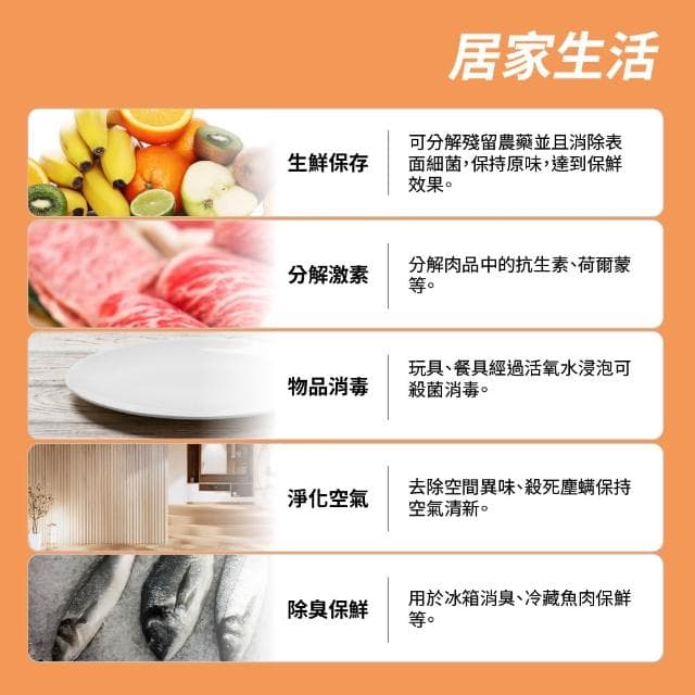 蔬果活氧清洗機 蔬果消毒臭氧機 消毒活氧機 淨化農藥殘留 肉類清洗機 果蔬碗盤清洗機 空氣淨化器 690-LRZ128