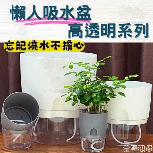 沐晨植物園｜懶人花盆 懶人盆栽 吸水花盆 自吸水花盆  免澆水花盆 懶人花盆 吸水盆栽 室內花盆 自吸水花盆