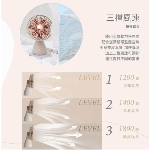 【SOTHING 向物】桌面風扇 涼扇 靜音電風扇 露營風扇 自動擺頭 辦公室 宿舍 家居 廚房 質感禮物_手捧花