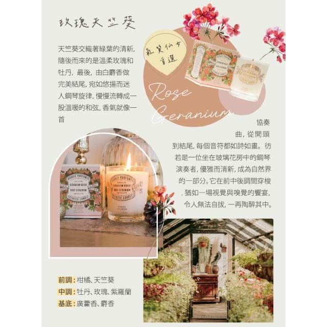 【Panier des Sens 潘堤香頌】Panier des Sens 香氛蠟燭180g 白茉莉/橙花/普羅旺斯/馬鞭草 即期良品(有效期至2026年1月)