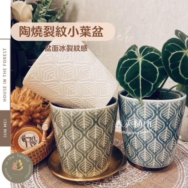 陶盆 陶燒裂紋小葉盆 冰裂陶盆 花器 盆器 花瓶 植物 觀葉 多肉 仙人掌