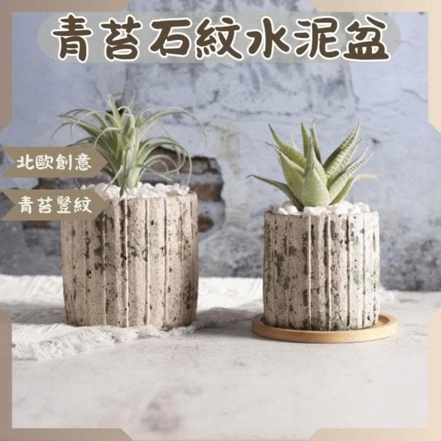 沐晨植物園｜青苔石紋水泥盆 多肉盆 陶瓷花盆 多肉盆栽 花盆 水泥盆 花器