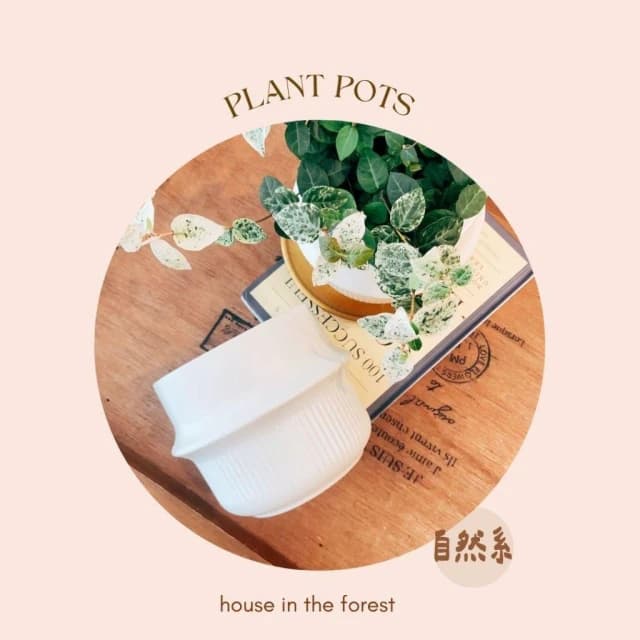 陶盆 韓鍋造型陶盆 花盆 花器 盆器 器皿 陶盆 多肉植物 觀葉植物 居家布置 辦公室植栽 植物