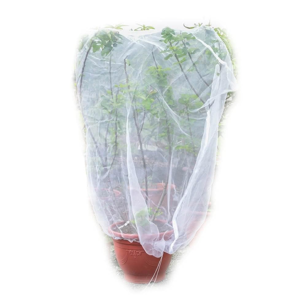Bingo賓購 尼龍植物防蟲網罩 100x150公分(防鳥罩、防鳥網、無花果樹網、盆栽果樹網)