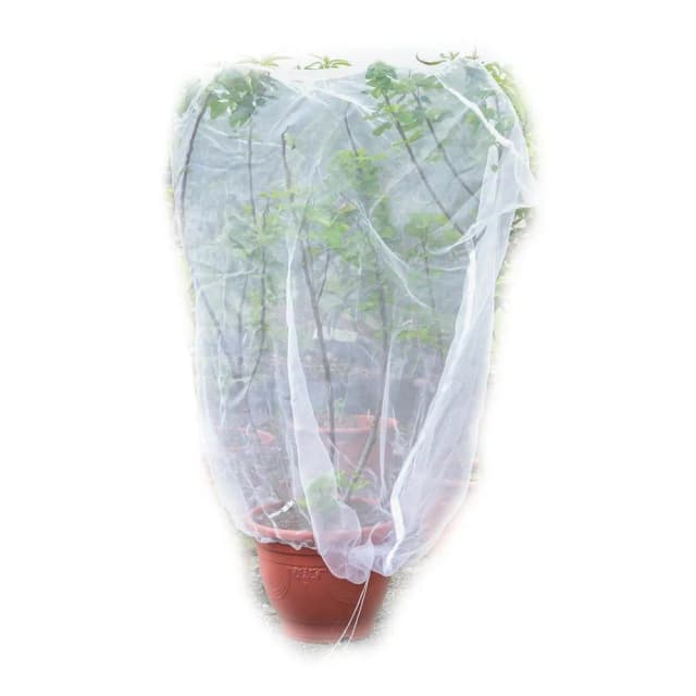 Bingo賓購 尼龍植物防蟲網罩 100x150公分(防鳥罩、防鳥網、無花果樹網、盆栽果樹網)