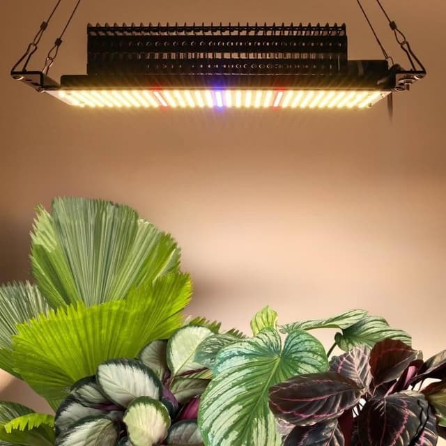 【微糖花植間】50W空中飛船植物燈Spaceship(植物成長燈/植物燈/盆栽燈)