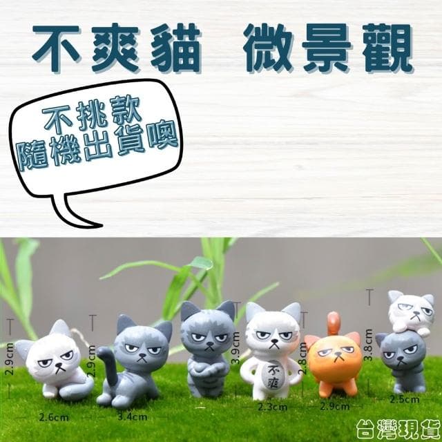 沐晨植物園｜不爽貓 貓咪 臭臉貓 微景觀裝飾 多肉裝飾 生態瓶配件 盆栽裝飾 微景觀配件 公仔 迷你園藝 多肉擺件飾