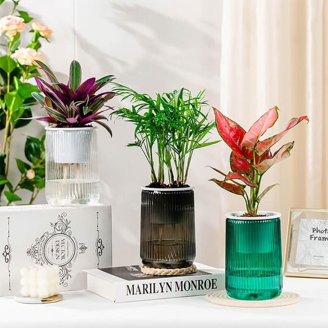 【生活職人】 園藝 透明花盆 植物花盆 輕奢 自吸水盆栽 花盆 盆栽 水培花盆 自動吸水盆栽