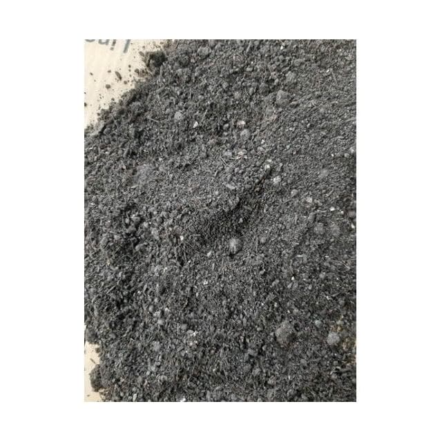 花森好市-常綠喬木**杜松**4.5吋盆 高10-15公分/樹小相大的小盆栽/MA