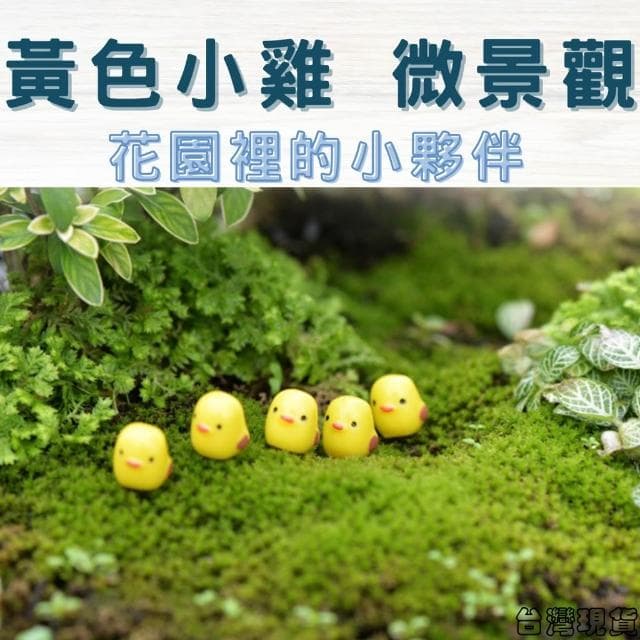 沐晨植物園｜黃色小雞 迷你小雞 微景觀裝飾 微景觀擺件 多肉裝飾 盆栽裝飾 微景觀配件 公仔 迷你園藝