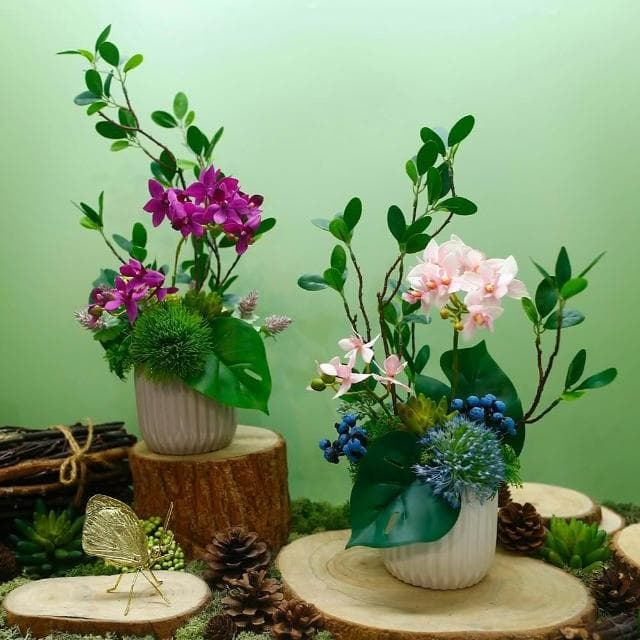 【HUGO DECO 榆果傢飾】雅緻桃紅蝴蝶蘭榕枝香氛花禮(擬真植物/人造盆栽/綠化/佈置/禮物)