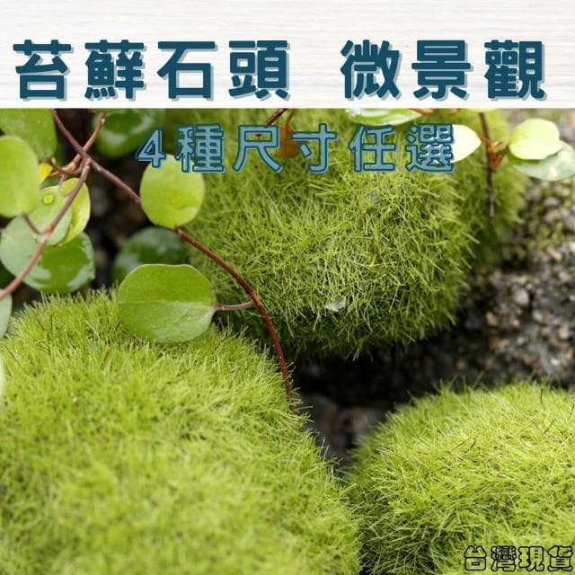 沐晨植物園｜仿真青苔石 仿真苔蘚石頭 仿真石 多肉裝飾 生態瓶配件 盆栽裝飾 微景觀配件 公仔 迷你園藝 微景觀擺件