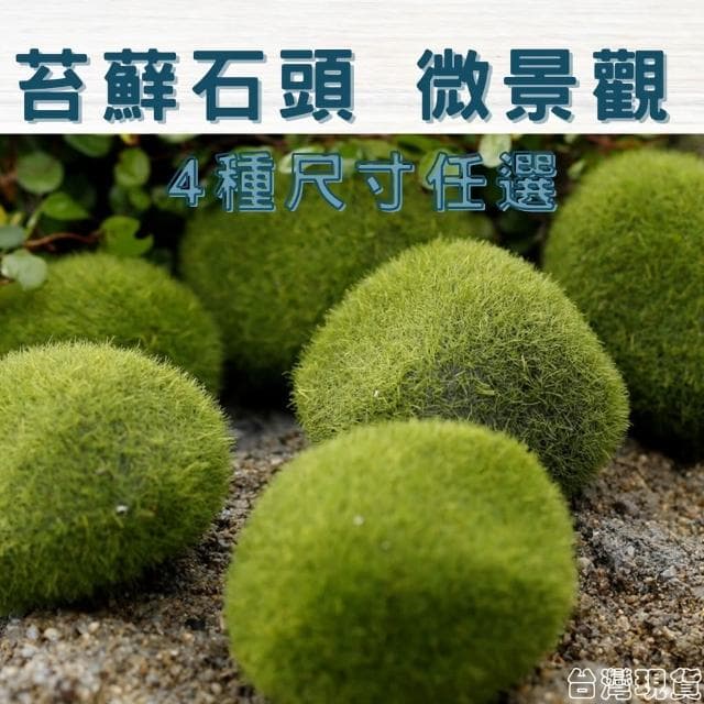 沐晨植物園｜仿真青苔石 仿真苔蘚石頭 仿真石 多肉裝飾 生態瓶配件 盆栽裝飾 微景觀配件 公仔 迷你園藝 微景觀擺件