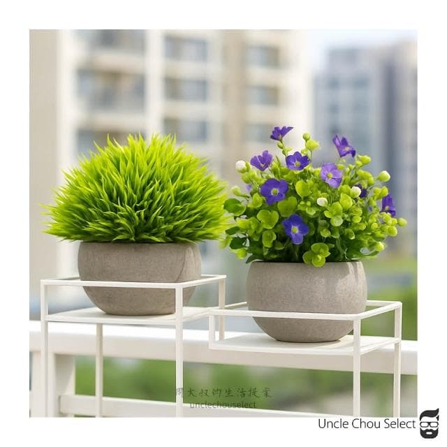 [周大叔 台灣現貨] 仿真植物 桌上盆栽 小盆栽 假植物 辦公室盆栽 人造植物 假盆栽