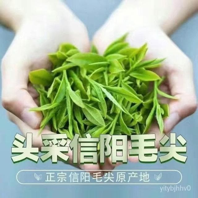 小明嚴選   信陽毛尖2024明前新茶春季嫩芽一級純手工散裝罐裝高檔型綠茶茶葉