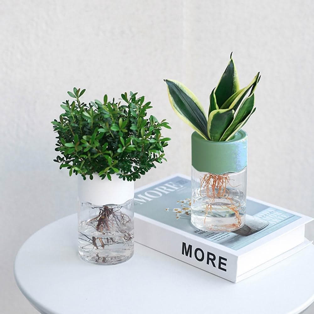 【生活職人】水耕盆栽 觀葉植物 水耕瓶 水耕花器 懶人 日系水耕盆栽 花瓶 無土種植 水耕植物 塑膠盆