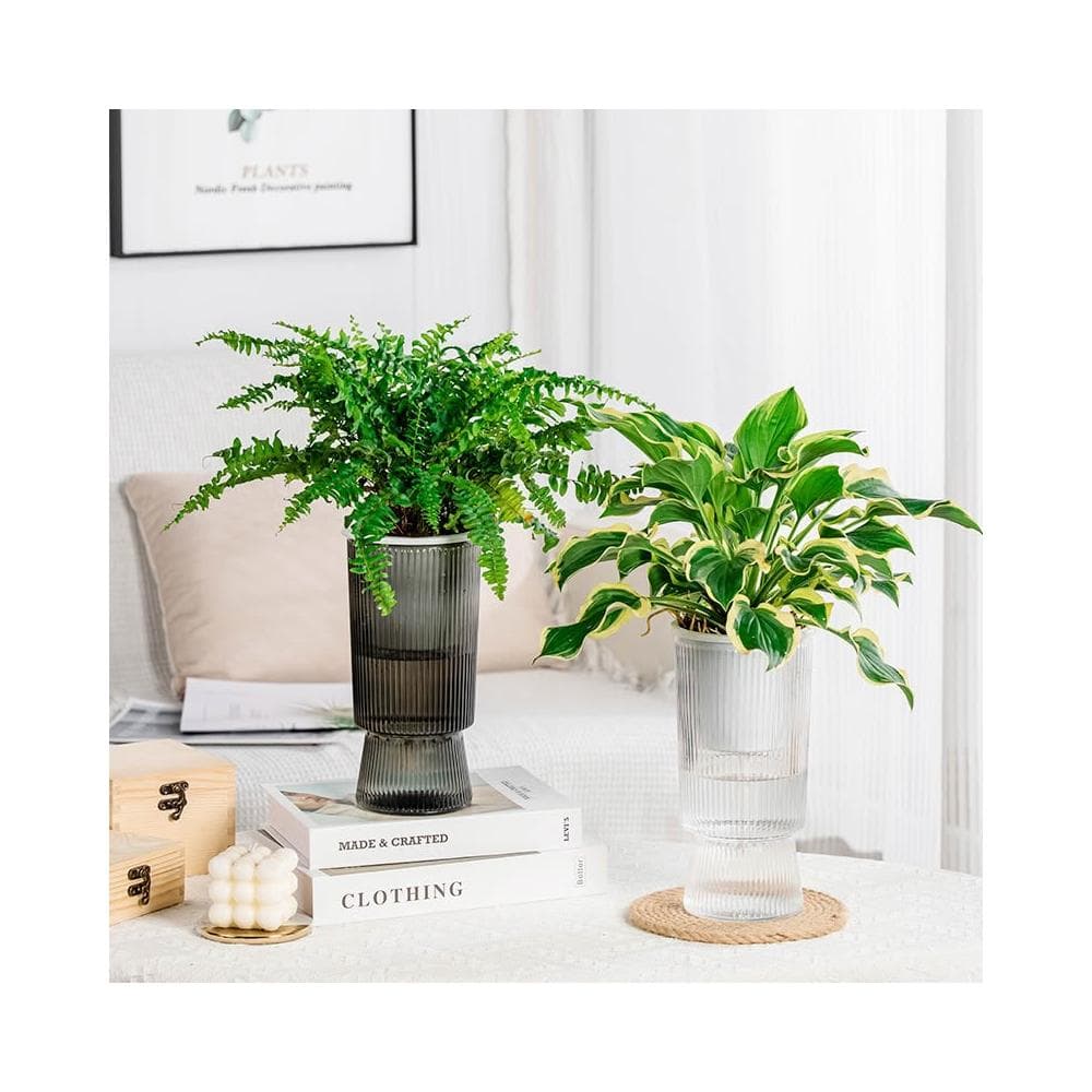 【生活職人】吸水盆栽 花盆 盆栽 植物花盆 歐式古典自吸水盆栽 塑膠花盆 水培花盆 肉盆 懶人盆栽