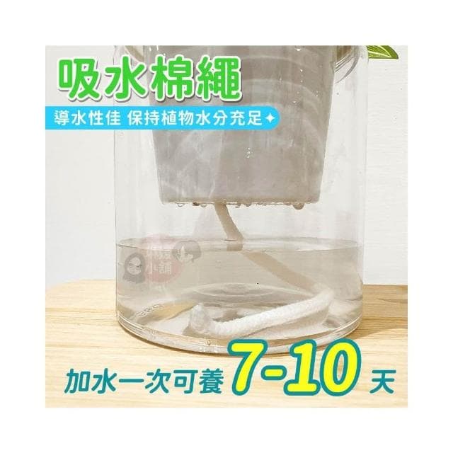 【琳媛小舖】吸水花盆 自動吸水盆栽 透明花盆 懶人盆栽 塑膠盆栽 水耕植物 花盆 綠植 簡約花盆 GA003
