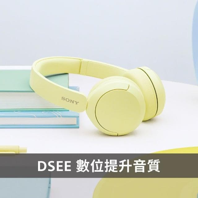 【SONY 索尼】SONY WH-CH520 無線藍牙耳罩式耳機 6色 可選