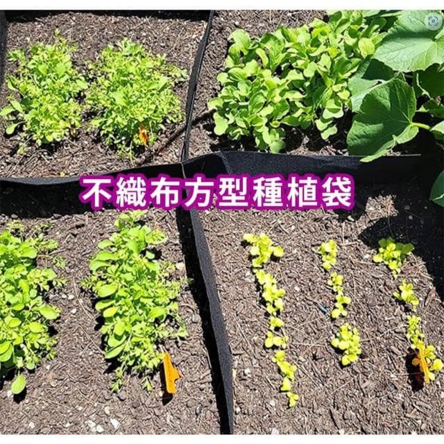 Bingo賓購 方型種植袋 不織布移植袋 8格方形(移植袋 種植袋育苗袋 植物袋 植栽袋 植樹袋 美植袋 移植袋 種菜)