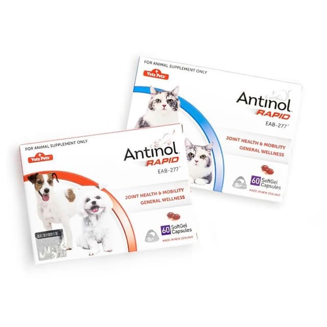 Antinol 安適得 原廠公司貨 酷版 防偽雷射標籤有保障 關節保養 犬貓用 60顆/盒 天然關節營養品