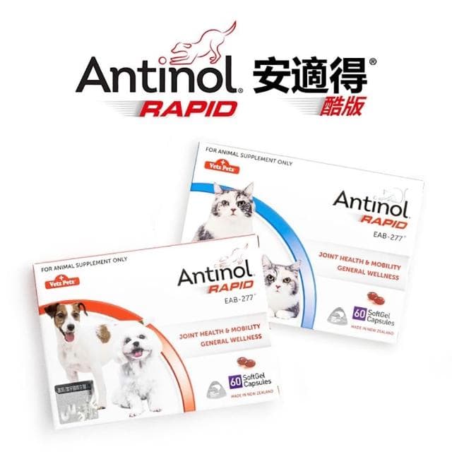 Antinol 安適得 原廠公司貨 酷版 防偽雷射標籤有保障 關節保養 犬貓用 60顆/盒 天然關節營養品