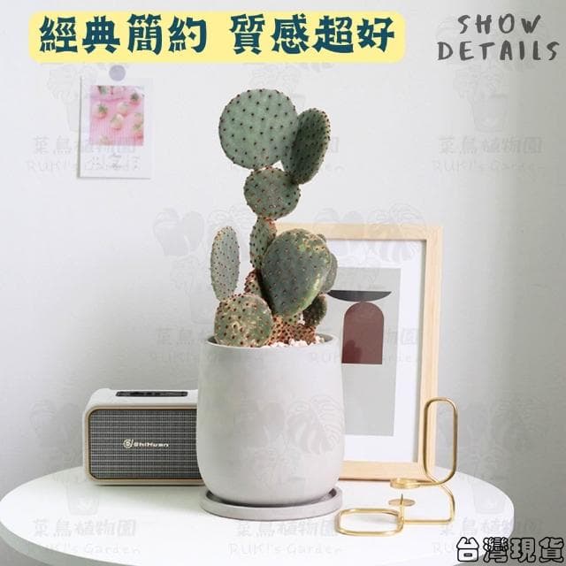 沐晨植物園｜水泥盆 水泥花盆 大花盆 盆栽 水滴水泥盆 龜背芋花盆 琴葉榕花盆 花盆 盆器 水泥花器 植物花盆