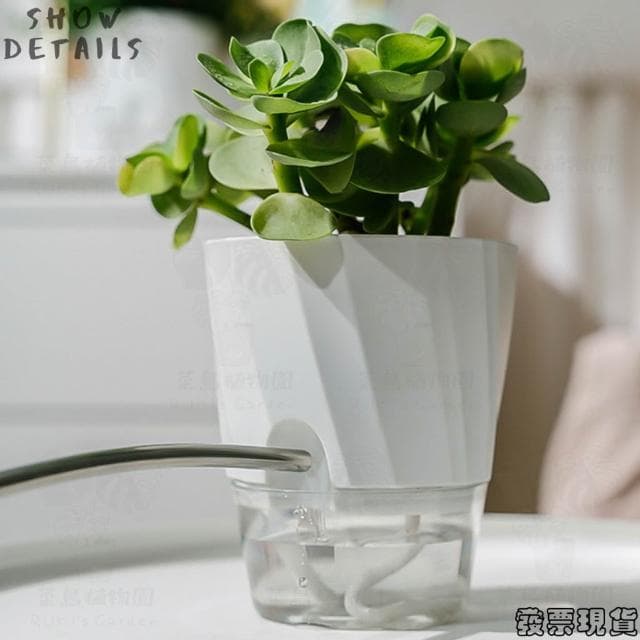 沐晨植物園｜懶人花盆 懶人盆栽 吸水花盆 自吸水花盆  免澆水花盆 懶人花盆 吸水盆栽 室內花盆 自吸水花盆
