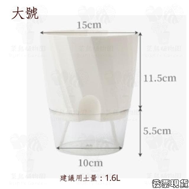 沐晨植物園｜懶人花盆 懶人盆栽 吸水花盆 自吸水花盆  免澆水花盆 懶人花盆 吸水盆栽 室內花盆 自吸水花盆