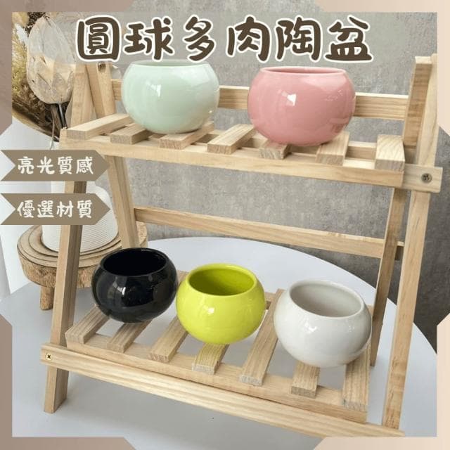 沐晨植物園｜圓球多肉陶盆 多肉盆 陶瓷花盆 多肉盆栽 花盆 圓形陶盆