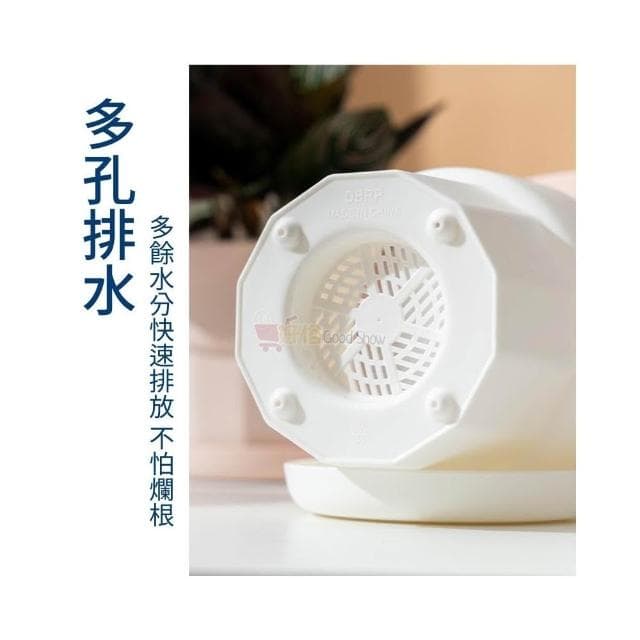 花盆 塑膠花盆 附托盤 簡約花盆 控跟花盆 花盆排水 室內植物 盆栽容器 戶外花盆 園藝花盆
