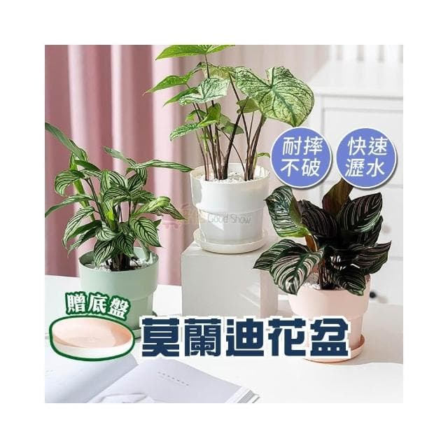 花盆 塑膠花盆 附托盤 簡約花盆 控跟花盆 花盆排水 室內植物 盆栽容器 戶外花盆 園藝花盆
