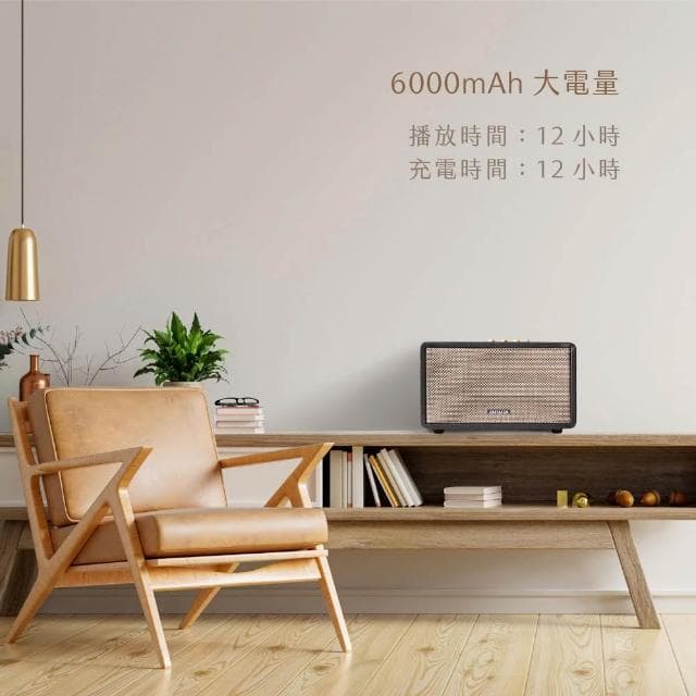 【AIWA 愛華】藍牙喇叭 (RS-X150 Natsukasii Pro)-棕色/黑色