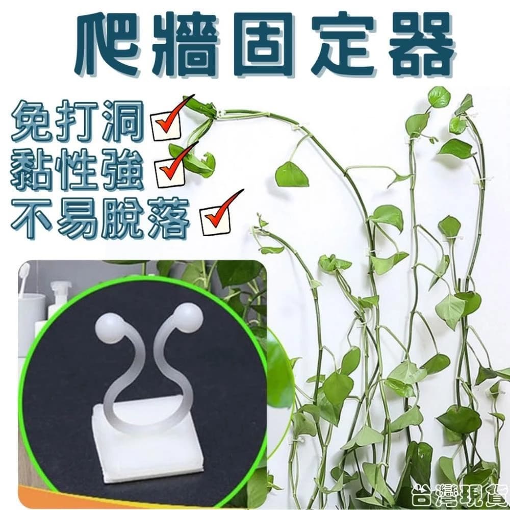 沐晨植物園｜爬牆固定器 藤蔓固定器 攀爬固定器 貼牆 多功能固定器 免打孔掛鈎 室內盆栽 綠藤固定器 線材理線器