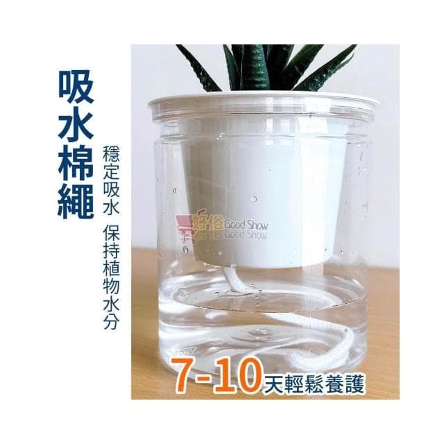 花盆 吸水花盆 簡約花盆 懶人花盆 自動吸水盆栽 吸水花盆 透明花盆 水培花盆 盆栽 塑膠盆 室內植物花盆