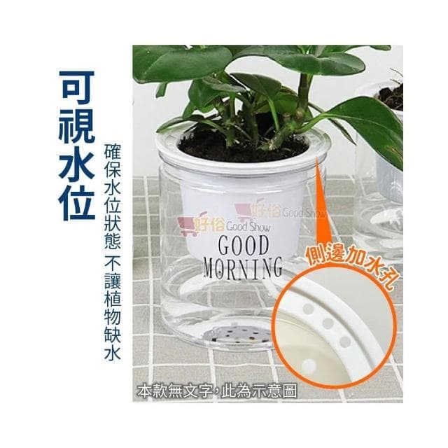 花盆 吸水花盆 簡約花盆 懶人花盆 自動吸水盆栽 吸水花盆 透明花盆 水培花盆 盆栽 塑膠盆 室內植物花盆