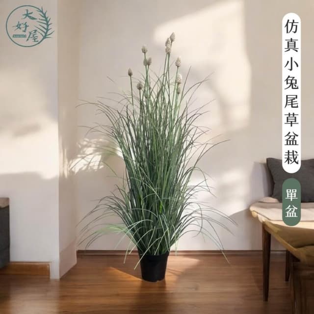 大好屋仿真花 現貨 仿真小兔尾草 盆栽 單盆 仿真綠葉 綠植 仿真兔尾草 佈景 造景 櫥窗 店面裝飾 人造植物