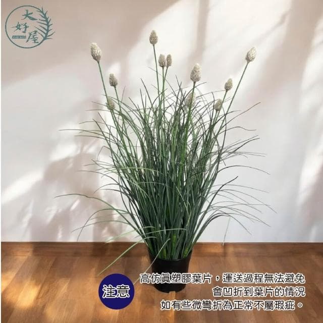 大好屋仿真花 現貨 仿真小兔尾草 盆栽 單盆 仿真綠葉 綠植 仿真兔尾草 佈景 造景 櫥窗 店面裝飾 人造植物
