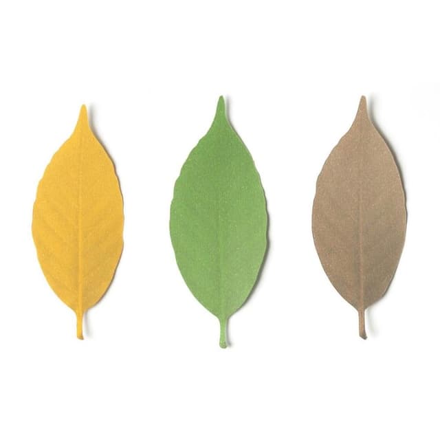 h concept 葉子溫度計 5入(日本 色溫變化 感受四季 日本文創 居家貼式 送禮推薦 聖誕 交換禮物 )