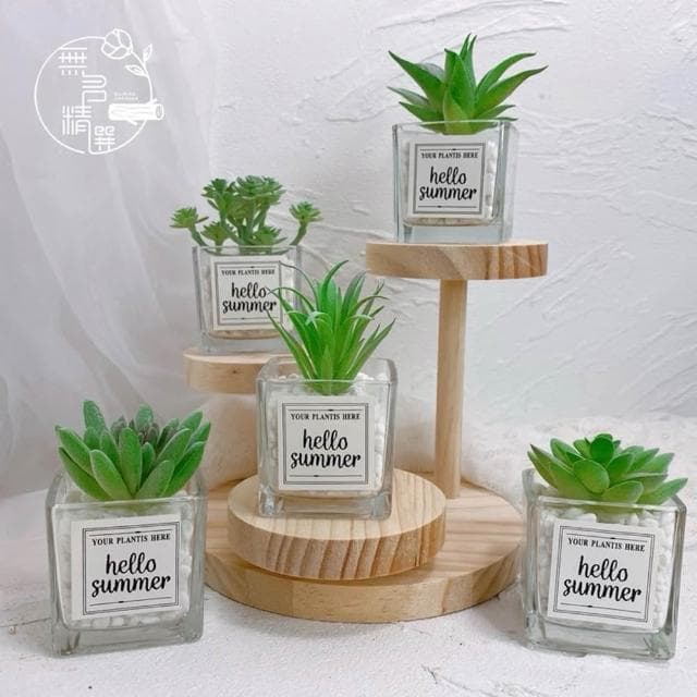 仿真多肉玻璃盆 多肉擺件 小盆栽 仿真盆栽 拍照道具 桌面盆栽 假植物 仿真植物 仙人掌 多肉 迷你盆栽