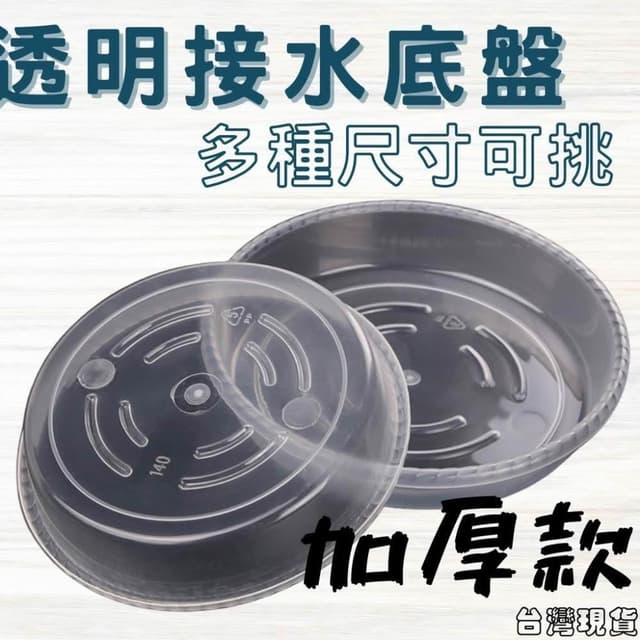 沐晨植物園｜水盤 底盤 花盆托盤 透明托盤 透明接水盤 盆栽底盤 塑膠托盤 接水盤 花盆底盤 尺寸齊全