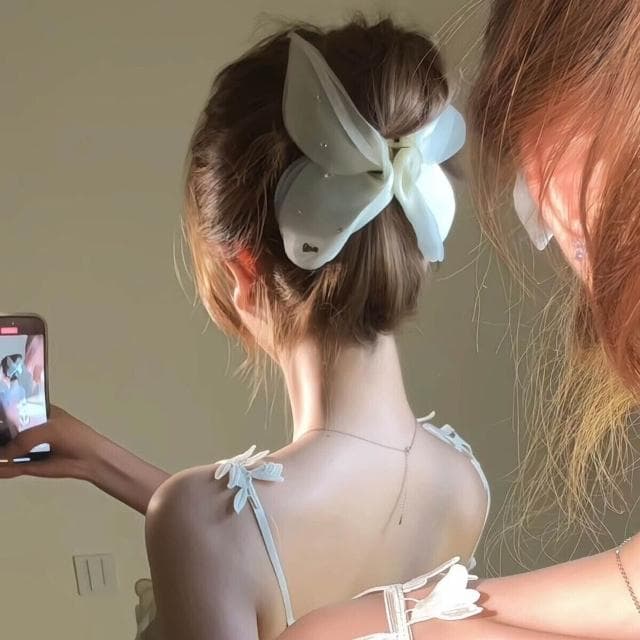 鯊魚夾法式超仙薄紗水鉆蝴蝶結小抓夾後腦勺盤發發夾女2025年髮夾 (七夕 情人節 生日 髮飾 頭飾 鯊魚夾 抓夾 禮物)