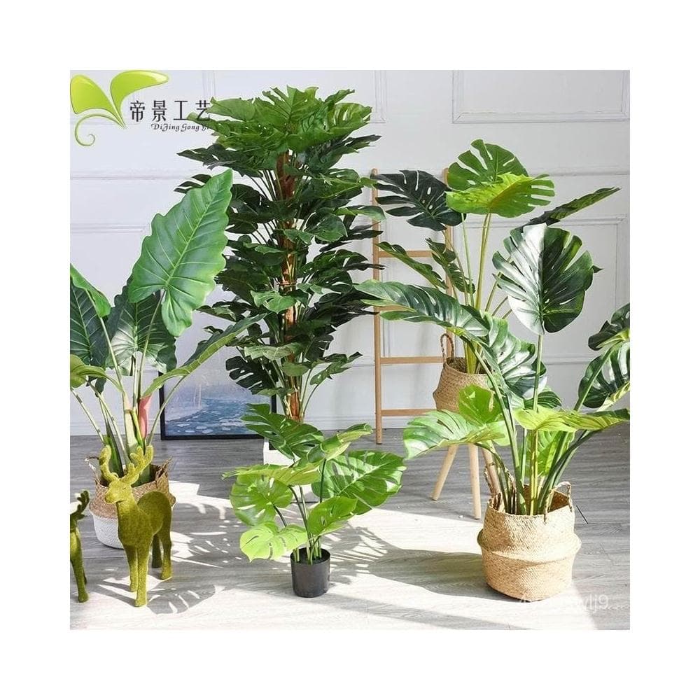 北歐ins滴水觀音仿真龜背竹盆景小散尾擺件盆栽裝飾落地植物樹客