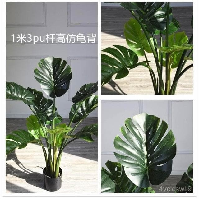 北歐ins滴水觀音仿真龜背竹盆景小散尾擺件盆栽裝飾落地植物樹客